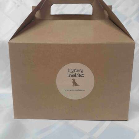 Mystery Treat Box