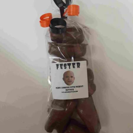 Fester